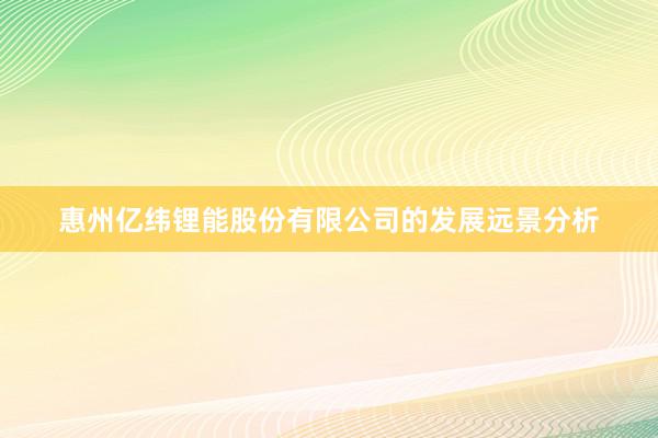 惠州亿纬锂能股份有限公司的发展远景分析