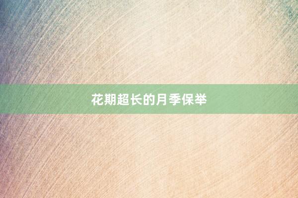 花期超长的月季保举